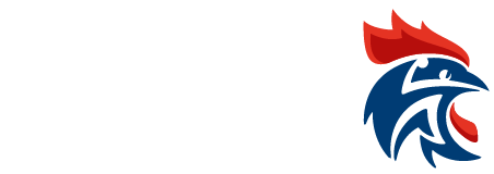 comite-deux-sevres-handball-lettres-blanches