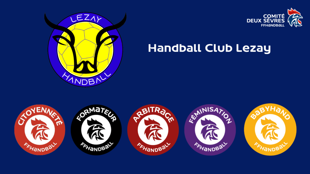 Nos clubs sont labellisés FFHB Lezay